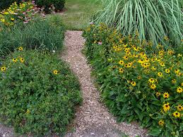 Gartenweg Aus Rindenmulch So Setzen Sie Ihn Wirkungsvoll Ein