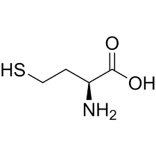 Image result for Homocysteine