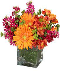 Maybe you would like to learn more about one of these? Prescott Florist Prescott Az Flower Shop Prescott Flower Shop