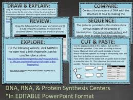 Dna Rna Stations