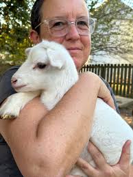 Member Gallery — Clintonville Arts Guild