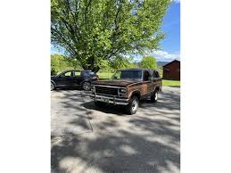 Image result for Dark Chamois 1980 Bronco