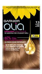 Blonde Hair Dye Blonde Colour Shades Highlights Garnier