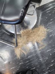 Cactus v4 trigger does not work with these ash models. True Cut 70 Photos 28 Reviews Hair Salons 3117 E Cactus Rd Phoenix Az Phone Number