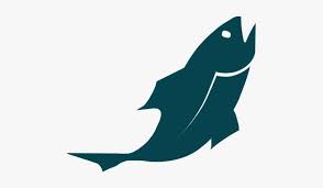Download Fish Icon Fish Icon Transparent Png Image Transparent Png Free Download On Seekpng