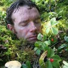 Bevan Klassen (@40belowfilms)