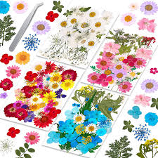 When dry, the are put into the silicone molds andpoured over with resin. Buy 153pcs Dried Pressed Flowers For Resin Evatage Real Pressed Flowers With Tweezers Multiple Colorful Resin Dry Flowers Bulk For Craft Resin Mold Jewelry Making Candle And Nails Decoration Online In Vietnam