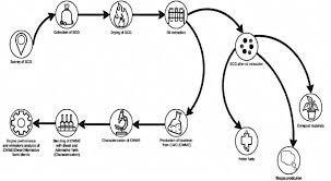 Flow Chart Of Recycling Process Of Coffee Waste Download