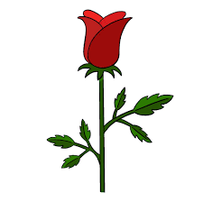 Image result for Rosa