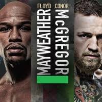 Terri Negron Email & Phone Number