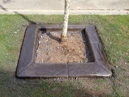 Choose your favorite tree ring photographs from 3,221 available designs. Square Tree Rings Yup You Ve Seem There Here Whiterock Concretecurbing Curb2000 Dot Com Concrete Curbing Tree Rings Lawn