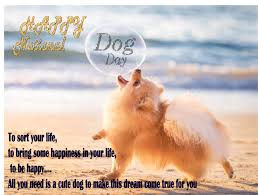 Thursday is objectively one of the most important days of the year: National Dog Day 26 August Happy National Dog Day 2021 Resultcheckonline Com