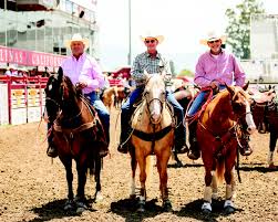 Horses with a History