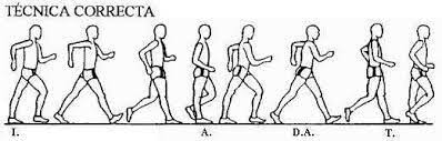 Maybe you would like to learn more about one of these? Http Gonzaloefblog Blogspot Com 2015 01 Tecnica De Carrera Y Marcha Atletica Y Html
