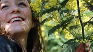 Grasse institute of perfumery