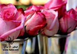 We did not find results for: Ø§Ø­Ø¯Ø« ØµÙˆØ± ÙˆØ±Ø¯ 2021 Photos Flowers Sowar Ward Ø§Ø¬Ù…Ù„ ØµÙˆØ± Ø§Ù„ÙˆØ±Ø¯ ØµÙ‚ÙˆØ± Ø§Ù„Ø¥Ø¨Ø¯Ø¢Ø¹