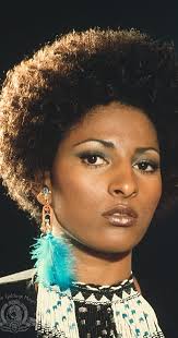 Pam stands for pluggable authentication modules and is used to perform various types of tasks involving authenticaction, authorization and some modification (for example password change). Pam Grier Imdb