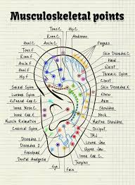 illustration acupuncture points on the human ear stock