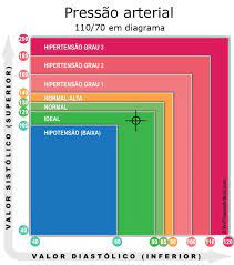A Sua Pressao Arterial E De 110 Por 70 Verpressaoarterial Com