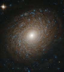 Esta galaxia espiral barrada pertenece a la constelación de cáncer y se ve como una versión más pequeña de la vía láctea. Arquivos Galaxias Espirais Space Today Nasa Space X Exploracao Espacial E Noticias Astronomicas Em Portugues