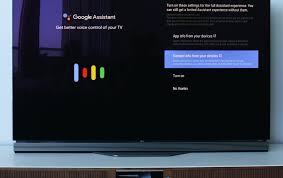 Adds voice commands, location based on/off. Nvidia Shield 2019 Review Flatpanelshd