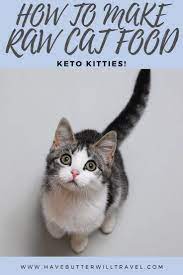 Raw Cat Food Recipe Keto Kitties With Allergies Have Butter Will Travel Recipe Raw Cat Food Recipes Cat Food Cat Food Allergy