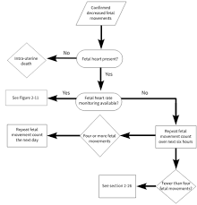 Primary Maternal Care 2 Assessment Of Fetal Growth And