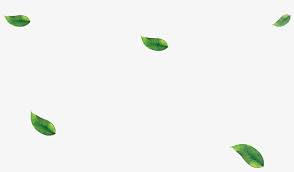 Please find this post on free svg paper leaves templates, which are usually used for backdrop paper flowers (giant paper flowers) and this post on small paper leaves templates, which are used for paper flower bouquet. Falling Green Leaves Png Leaf Free Transparent Png Download Pngkey
