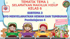 Home soal kelas 6 soal kelas 6 tema 2 subtema 2 dan kunci jawaban. Kelas 6 Tematik Tema 1 Selamatkan Makhluk Hidup Subtema 3 Pembelajaran 4 Youtube