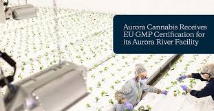 Danning Xu, P.Eng, PMP