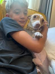 Pitties deserve all the pampering 💕