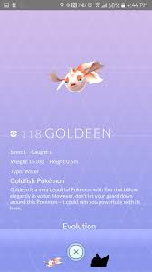 Pokémon shell out pokémon shellfish shield single bloom pokémon single horn skunk sky high sky squirrel pokémon slacker sleeping sludge snail pokémon snake snow hat snow land snowstorm pokémon soft tissue pokémon these are the fish pokémon found in pokémon go. Goldeen From Pokemon Go Pokemon Pokemon Go Pokemon Master