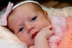 Nikki Norman Photography