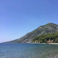 Βρες τους ταχυδρομικούς κώδικες (τκ) της δάφνης νεροτριβιάς ευβοίας μέσα από το απόλυτο εργαλείο εύρεσης ταχυδρομικού κώδικα! Pshstaria Dafnh Kritikes Estiatoriwn Tripadvisor