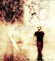 If We Met At Midnight In The Hanging Tree Lyrics This Is Beautiful I M Sorry I Might Cry Xxxxxx Hunger Games Hunger Games Quotes Hunger Games Trilogy