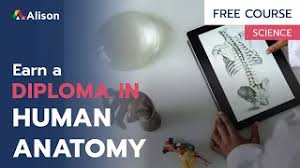 Human Anatomy and Physiology
