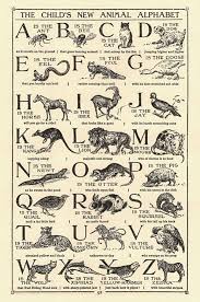 childrens animal alphabet antique prints history art print