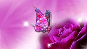 Every day new pictures and just beautiful wallpaper for your desktop flowers completely free. Roses And Butterfly Wallpapers Wallpaper Cave