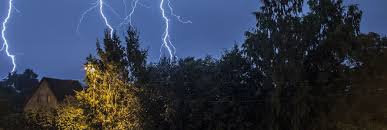 De paalborstels in de #vijver. Wat Te Doen Bij Onweer Max Vandaag