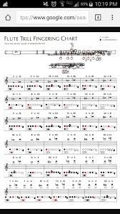 Pin By Mark Wallace On Flute Music Flute Flute Lessons Flute Music