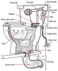 Replacing other toilet parts your toilet seat will wear with time, too, and you might find that simply replacing toilet seat parts like the hinges will make it good as new. How Does A Toilet Work Toilet Basics 101 Hubpages