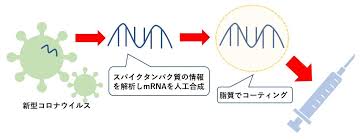 モデルナワクチンとは？ファィザーワクチンとの違いは？専門家の意見も!【新型コロナ用語集】 2020年11月19日 新型コロナウイルス tweet pocket 新型コロナウイルス感染拡大が続く中、対策の切り札として期待されるのが、ワクチン。. ãƒãƒ¼ãƒãƒ¼ãƒ‰ãŒæ³¨ç›® å¤§ä¼æ¥­ãƒ•ã‚¡ã‚¤ã‚¶ãƒ¼ã¯ãªãœçŸ­æœŸã§ãƒ¯ã‚¯ãƒãƒ³é–‹ç™ºã«æˆåŠŸã—ãŸã®ã‹ ãƒãƒ¼ãƒãƒ¼ãƒ‰ã®çŸ¥æ€§ã«å­¦ã¶ æ—¥æœ¬è«– ä½è—¤æ™ºæµ ãƒ€ã‚¤ãƒ¤ãƒ¢ãƒ³ãƒ‰ ã‚ªãƒ³ãƒ©ã‚¤ãƒ³