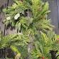 Christmas Puff & Plant - Mini Wreaths - Sat Dec event image