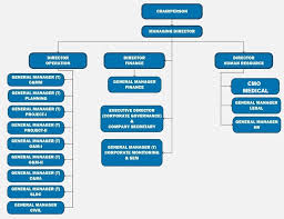 organization chart delhi transco limited