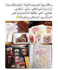 وانت هل ستقول ذالك ام تدع الحياة تنهكك Study Quotes Study Motivation Quotes Love Quotes Wallpaper