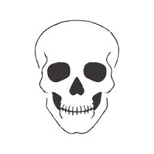 Gall By Inkbox O Dimensions 2 5 Inches The Skull Is Nature S Sculpture David Bailey In 2020 Simple Skull Drawing Skull Sketch Small Skull Tattoo