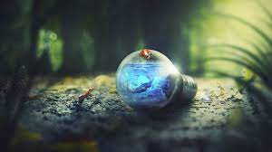 We did not find results for: Photoshop Hd Wallpapers Top Free Photoshop Hd Backgrounds Wallpaperaccess