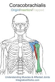 Pin On Shoulder