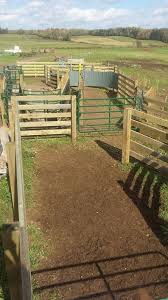 Ce28a5ed181856033d1792bb5520daee Jpg 450 800 Pixels Cattle Ranching Cattle Corrals Sheep Farm