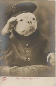 Vintage Dog Postcard Vintage Dog Dog Photos Dog Photograph